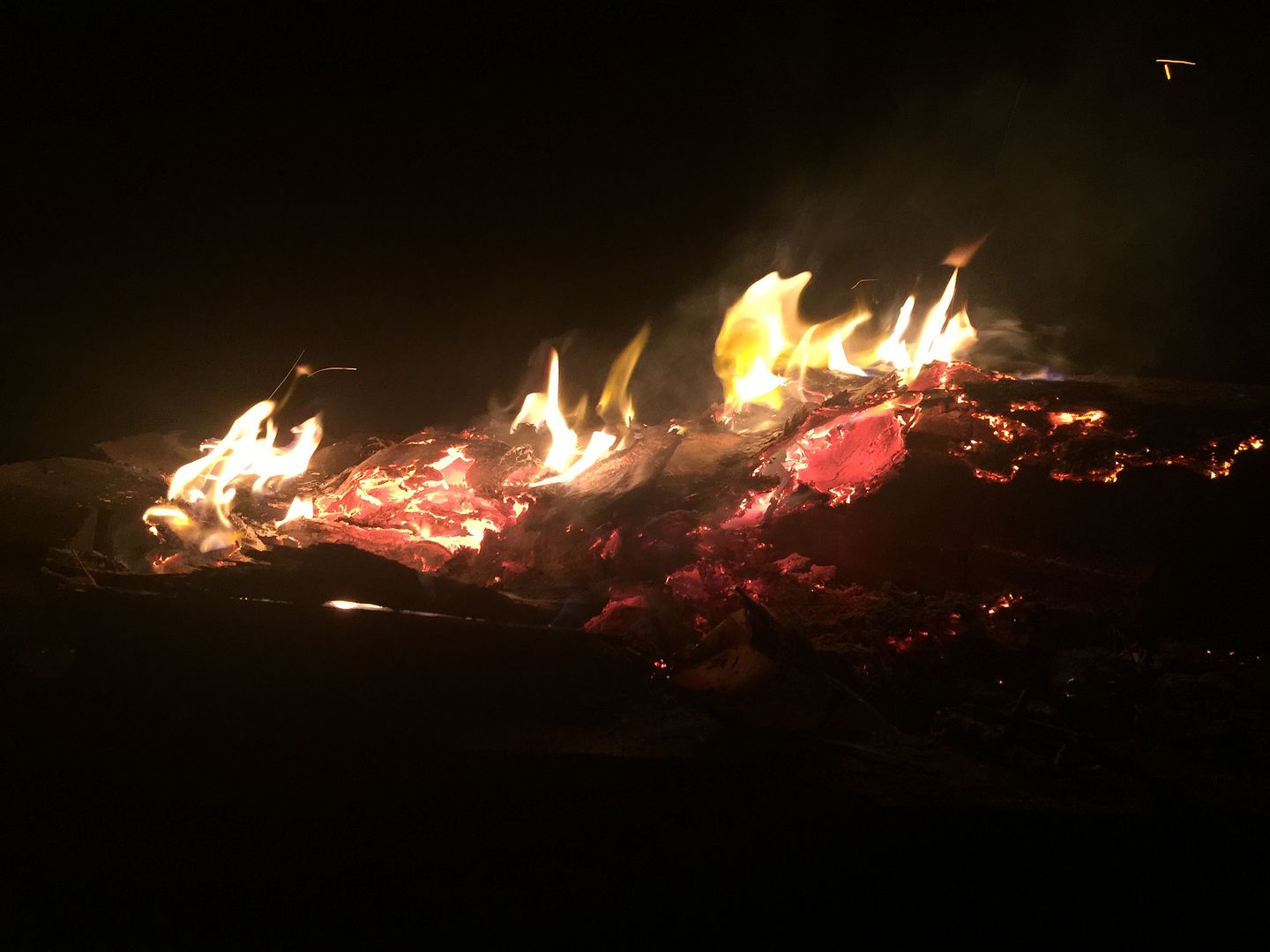 photo IMG_0164_zps4z4imnbz.jpg