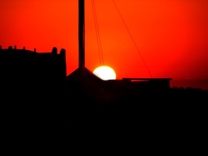 IMAGE: http://i17.photobucket.com/albums/b75/ashmicek/AM%20photos/IMG_8152.jpg