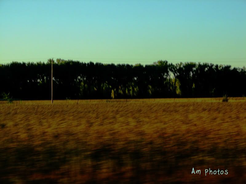 IMAGE: http://i17.photobucket.com/albums/b75/ashmicek/AM%20photos/IMG_8297.jpg