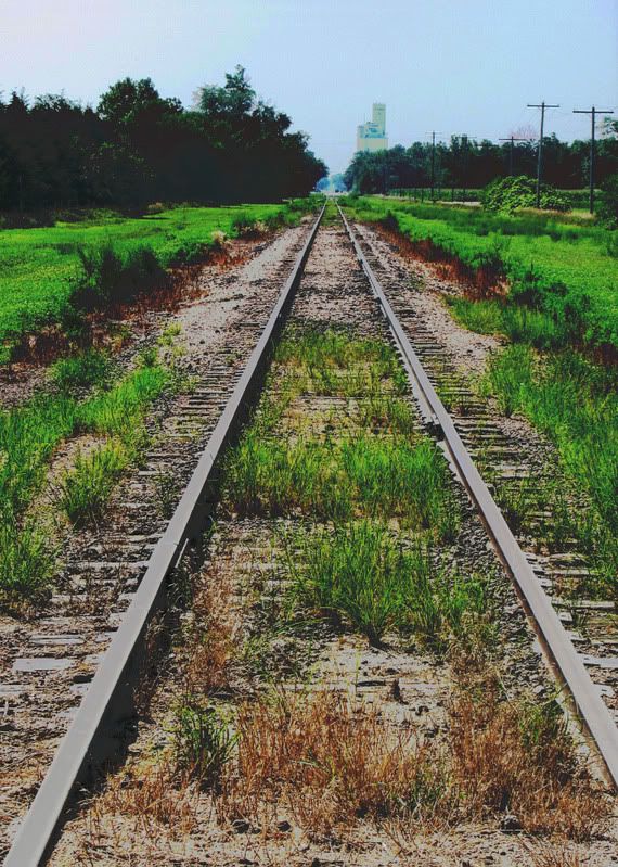 IMAGE: http://i17.photobucket.com/albums/b75/ashmicek/AM%20photos/railroad.jpg