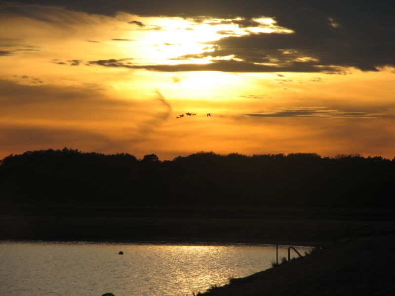 IMAGE: http://i17.photobucket.com/albums/b75/ashmicek/IMG_8314.jpg