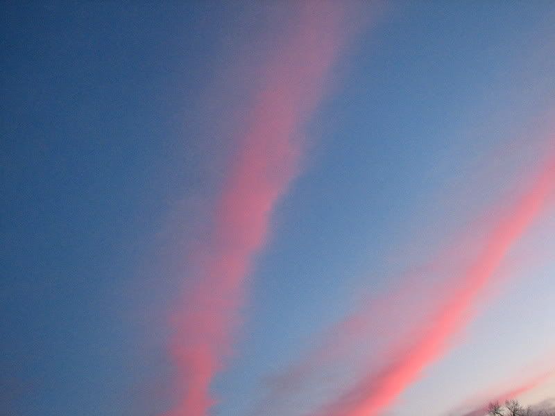 IMAGE: http://i17.photobucket.com/albums/b75/ashmicek/IMG_9056.jpg