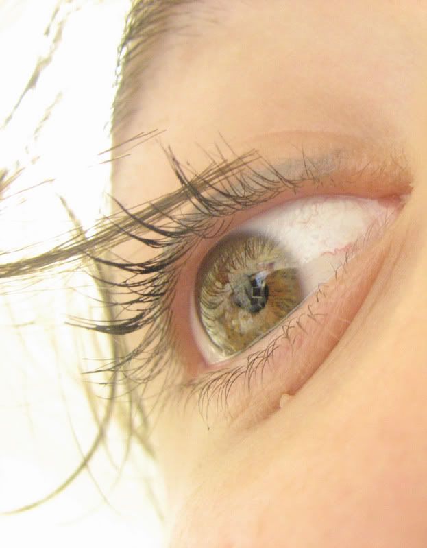 IMAGE: http://i17.photobucket.com/albums/b75/ashmicek/IMG_9147.jpg