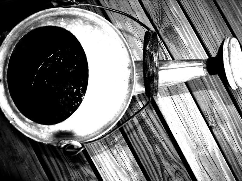 IMAGE: http://i17.photobucket.com/albums/b75/ashmicek/wateringcan2.jpg