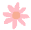 Flower Pictures, Images and Photos