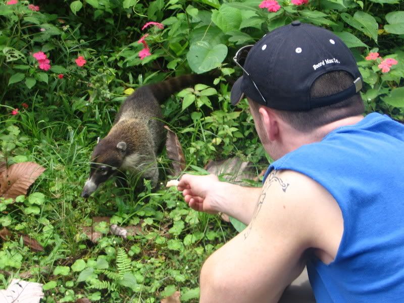 http://i17.photobucket.com/albums/b76/BikerFry/CostaRica04-2005018.jpg