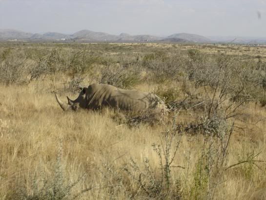 http://i17.photobucket.com/albums/b76/BikerFry/Namibia-5-20-05-011.jpg