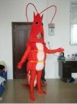 Shrimp-Mascot-Costumes_zps39429cd7.jpg