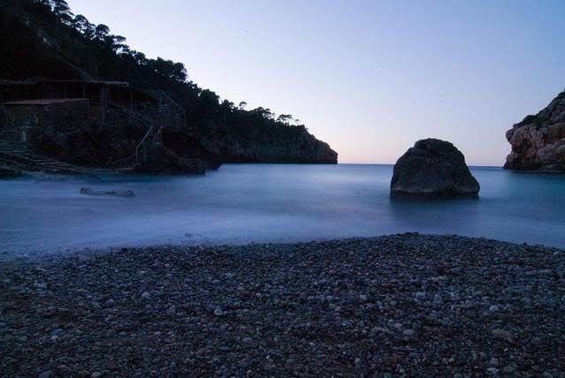DSC_2565-2-2.jpg