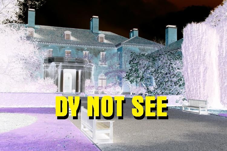 DYNOTSEE_zps219l9rtb.jpg