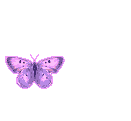 flybutterfly.gif picture by Pushpam