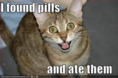 [Image: -found-pills-ate-eat.jpg]