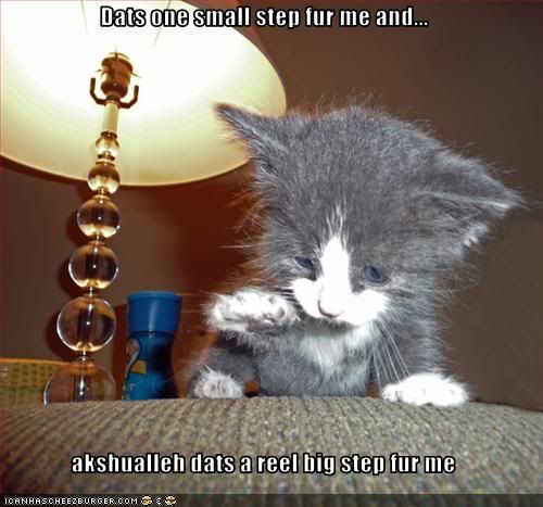 [Image: kitten-takes-a-big-step.jpg]