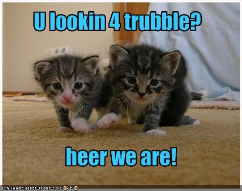 [Image: kittens-are-trouble.jpg]