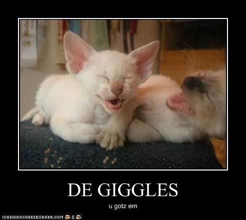 [Image: kittens-giggles.jpg]
