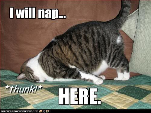[Image: will-nap-here.jpg]