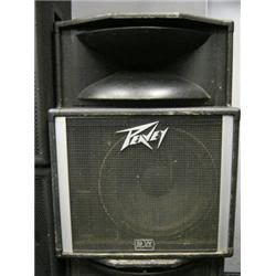 [Image: Peavey1522.jpg]