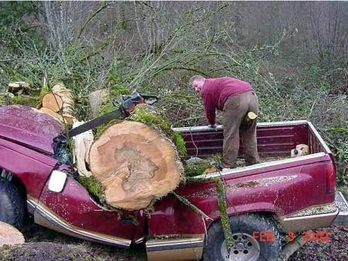 [Image: treetruck.jpg]