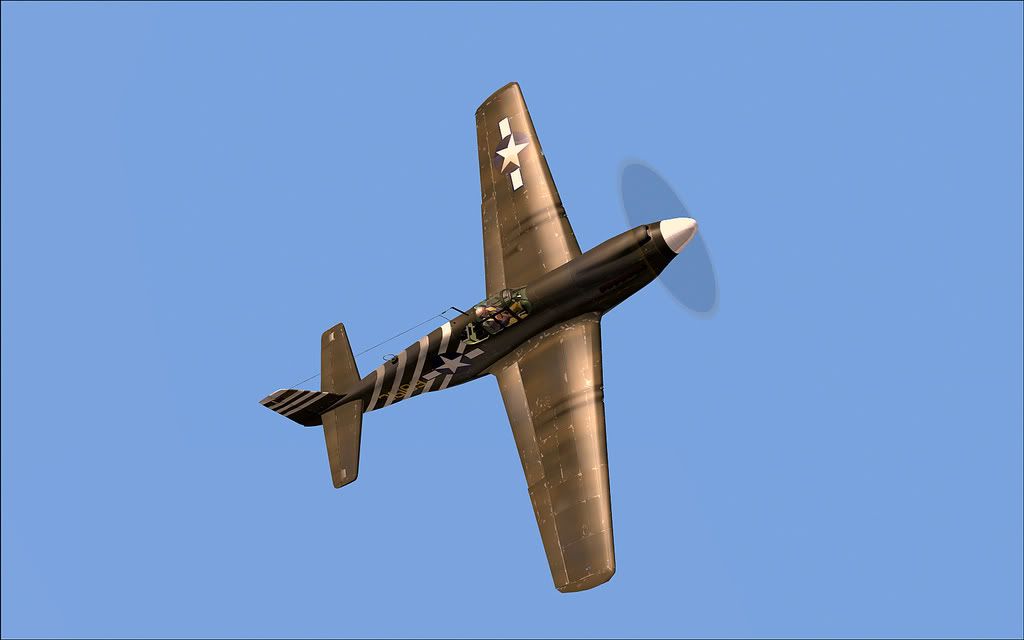 P-51aDFbmp.jpg