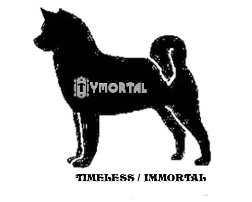 Tymortals Dark Raider