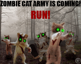 Zombie Cats Pictures, Images and Photos