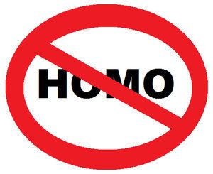 [Image: No_Homo_by_Bhrae.jpg]
