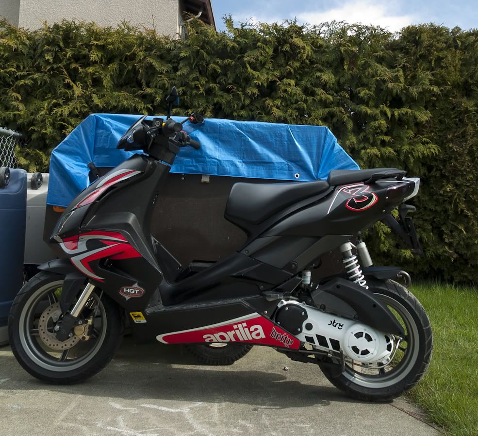 show off your ditech! [Archive] - Page 6 - ApriliaForum sponsored by AF1  Racing, inc.