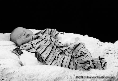 Kalamazoo Newborn Portrait Photography