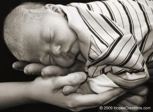 Kalamazoo Newborn Portrait Photography