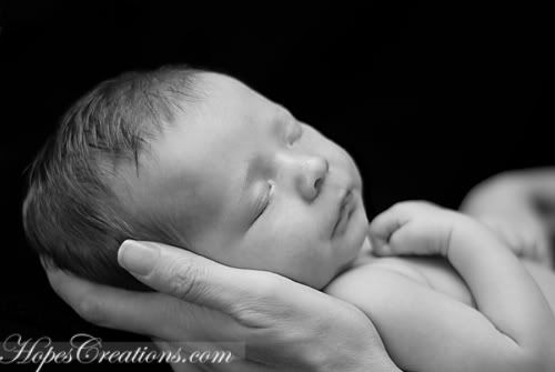 Kalamazoo Michigan Newborn Photographer