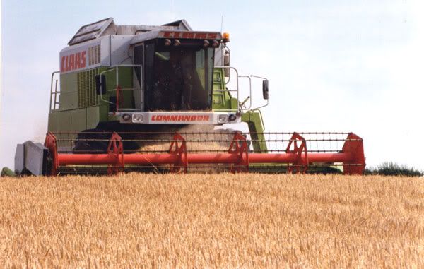 Claas228Swallow96web.jpg