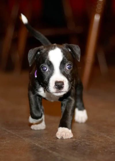 IMAGE: http://i17.photobucket.com/albums/b80/phillion/Noodle.jpg