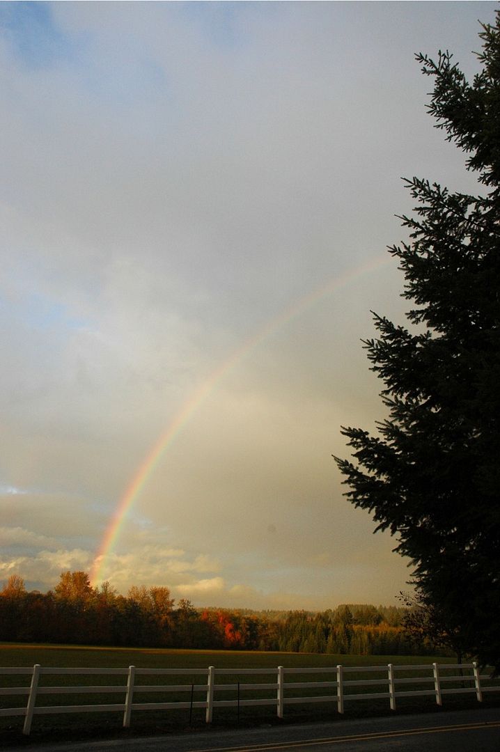 Rainbow1.jpg