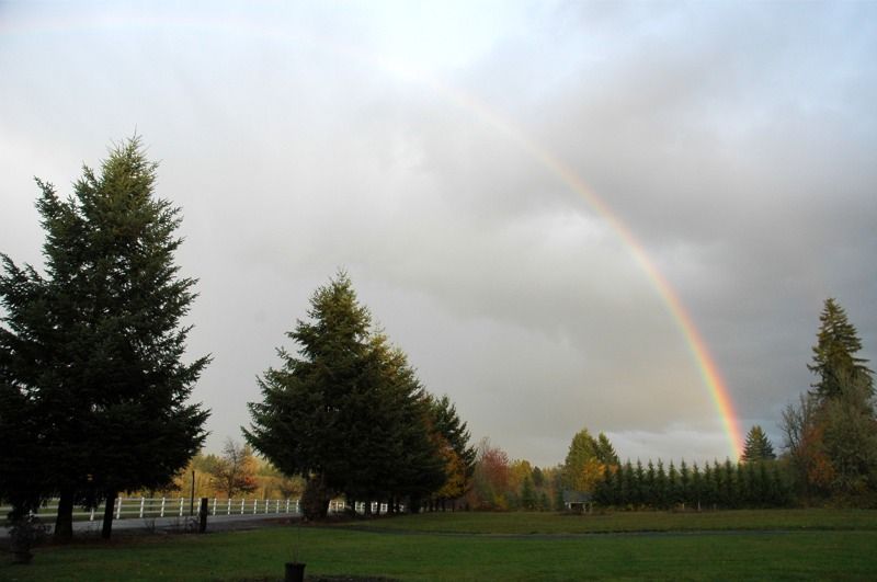Rainbow2.jpg