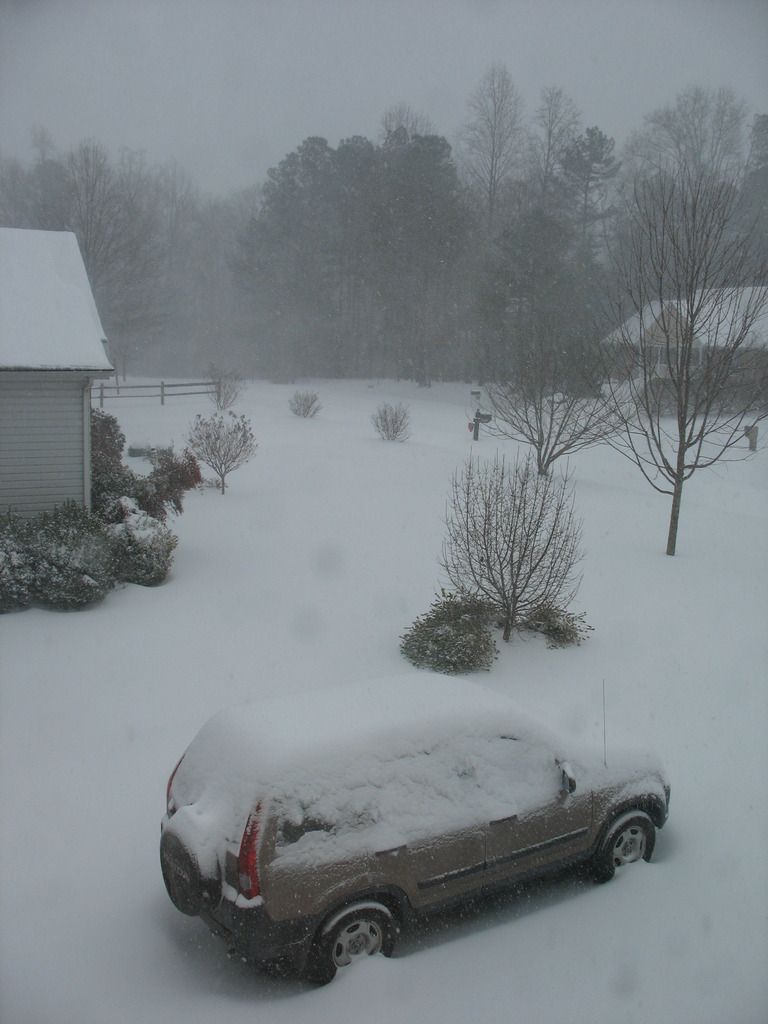 noon%2001-23-2016_zpsuizknqkt.jpg~origin