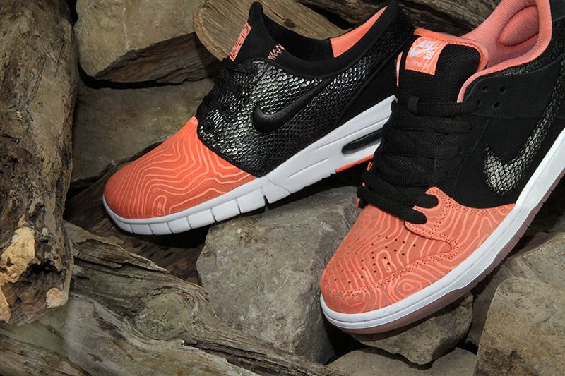  photo premier-nike-sb-salmon-ladder-pack-1_zpstrovf181.jpg