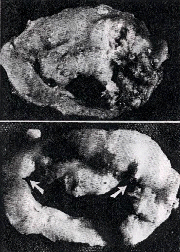 image003-5.png picture by giangduongykhoa