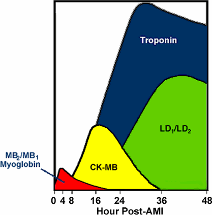 image003-9.png picture by giangduongykhoa
