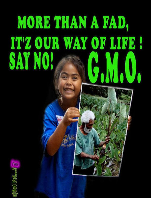 GMO_clone2.jpg