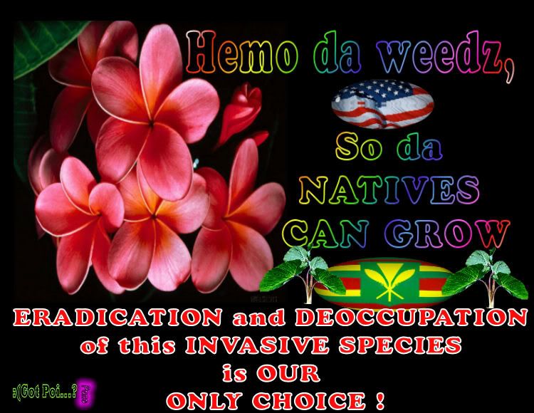 Hemo.jpg