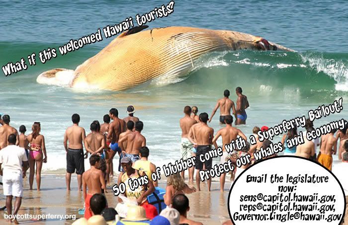 bailout_waikiki_whale.jpg