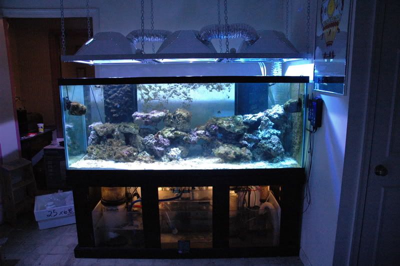Pco1988 S 210 Gallon Saltwaterfish Com Forums For Fish Lovers