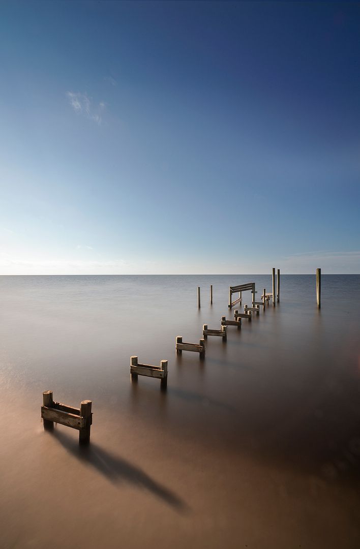 Photo Of the Week