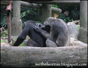 Photo Sharing and Video Hosting at Photobucket