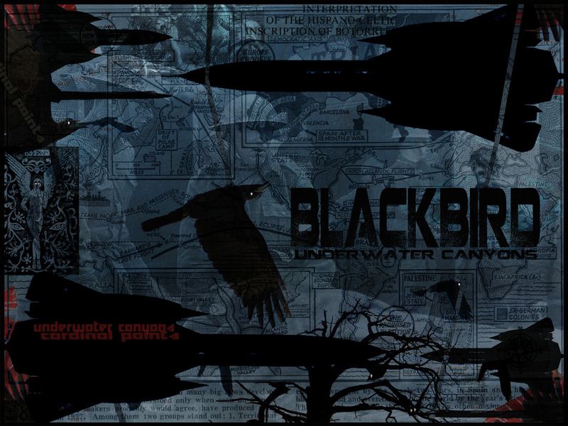 photo UC-Rust5-blackbird2-eyes_zpsqokdvwi7.jpg