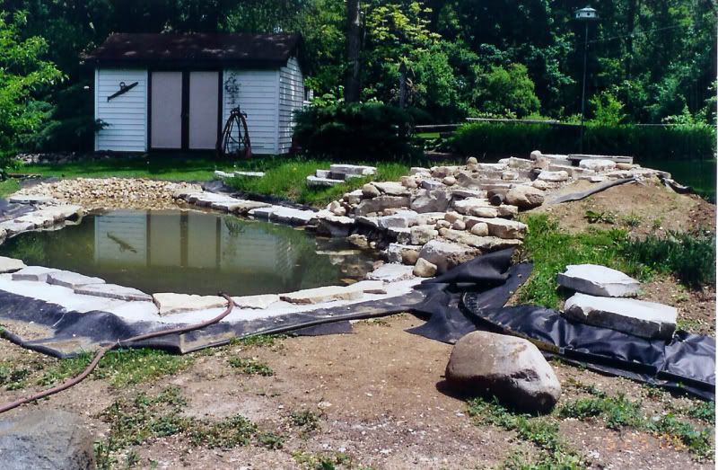 Flagstone and liner coping problems