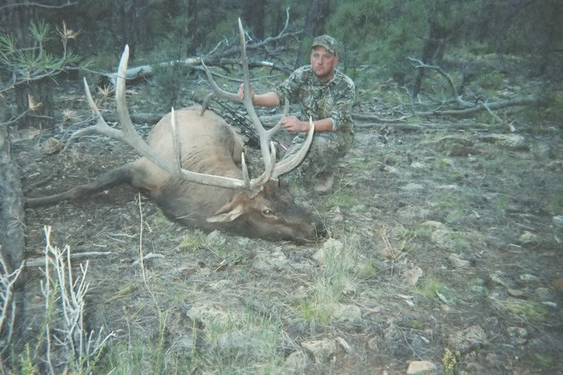 9elk002.jpg