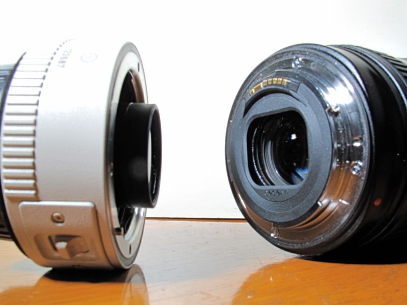 IMAGE: http://i17.photobucket.com/albums/b86/hectormac/G10_270EX/IMG_0018.jpg