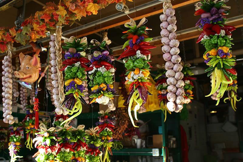 IMAGE: http://i17.photobucket.com/albums/b87/KTGMEASAP/sea2.jpg