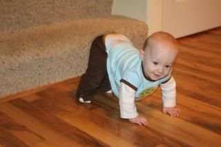 IMG_1884.jpg picture by jamie_1022